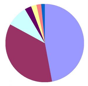 Produce Expenses Chart in Acemoney Lite Software